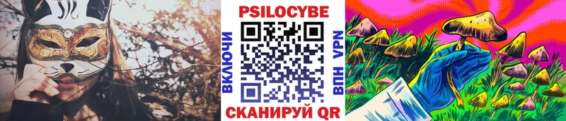 Псилоцибиновые грибы Psilocybe  даркнет сайт  Чусовой 